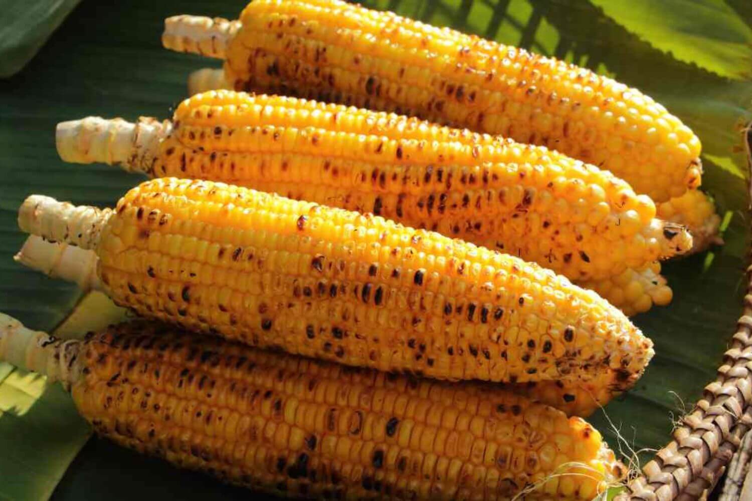 Bắp Nướng Mắm Hành Bắp Nướng Mắm Hành